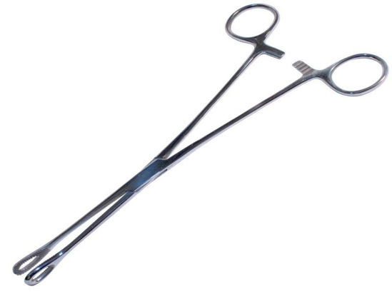 Picture of FORCEPS SPONGE HOLDING STRAIGHT 24 CM