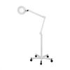 Picture of EXAMINATION LIGHT WITH CASTORS FOR DERMATOLOGISTS