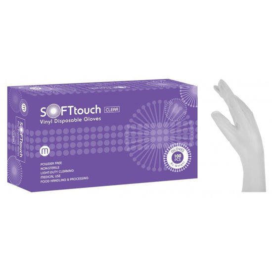 Picture of EXAMINATION GLOVES VINYL POWDER FREE LARGE